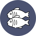 Fisk fiskeopskrifter hjemmelavet fisk ikon konservering selvforsyning lav selv